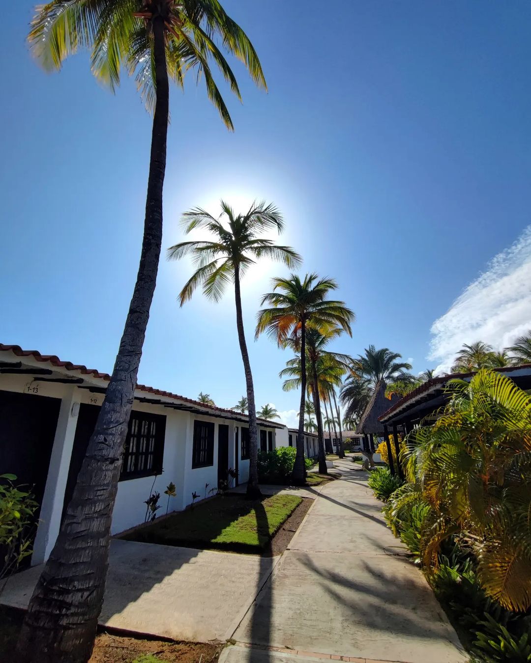 Margarita Village Viajes Indigo